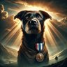 Фото профиля cryptoproxxxx
