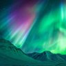 AlaskaInsight's profile picture