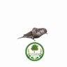 Profilbild von زهـور (عضويه 45)