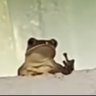 🦅 BirdGangg profil fotoğrafı