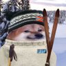 Фото профиля Fritz