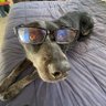 Jake Suave profil fotoğrafı