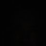Profilbild von l