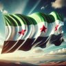 أنس الدمشقي الميداني 的头像