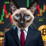 The Purrfect Catpitalist profil fotoğrafı