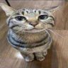 Taku's profile picture