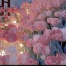 Julz🌷🥰's profile picture