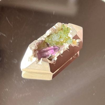 mutsuki_ren's profile picture