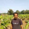 Harshil sam's profile picture