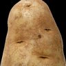 PotatoMan profil fotoğrafı