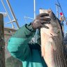 Rathole🎣 的头像