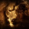 osa5's profile picture