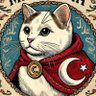 Bilgin🇹🇷🇦🇿 profil fotoğrafı