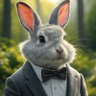 Profilbild von 野うさぎ