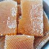 Shamlan Honey 的头像