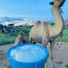 Harouna mahmoud's profile picture