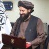 شمس نصرت's profile picture