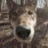 Profilbild von Grumant59