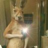 the_inspector's profile picture