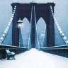 🇺🇸 🦅 𝔹𝕣𝕠𝕠𝕜𝕝𝕪𝕟 𝔾𝕚𝕣𝕝 ❄️☃️❄️⛄❄️'s profile picture