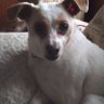 GlipperX's profile picture