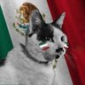 Francisco Torres's profile picture