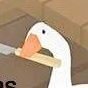 alex's profile picture
