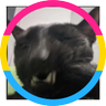 Lochlan's profile picture