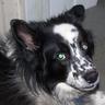 Profilbild von Michael Buxman
