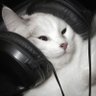 Profilbild von Hu
