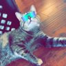 JoRdAn's profile picture