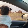 WA profil fotoğrafı