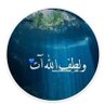 مرتجى's profile picture