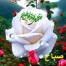 ابو مهدي 的头像