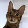 Profilbild von arthur.hl