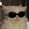 lu🧸's profile picture