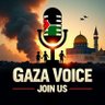 🇵🇸Gaza Voice🔻 Fighters 🐝 profil fotoğrafı