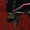 Profilbild von 瑾瑜