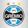 Strauss do grêmio 🇪🇪's profile picture