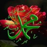Profilbild von Hamada Elyamny