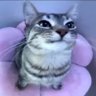 the drink's profile picture
