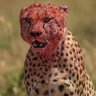 spizozo profil fotoğrafı