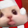 Profilbild von RowdyTomato