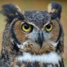 Profilbild von arya