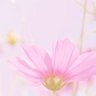 ゆみ 的头像