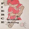 Fierce Softball Hitting's profile picture
