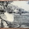Kou_chan@fpv profil fotoğrafı