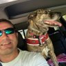 Steve O !'s profile picture