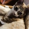 @A profil fotoğrafı