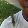 Yes Sirr's profile picture
